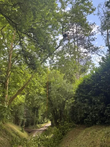 L'ArtBoriste sécurise et embellit votre jardin à Biarritz, Biarritz, L'ArtBoriste