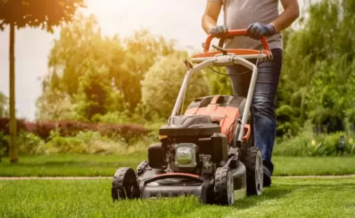 Entretien de jardin à Biarritz : tonte et taille de haies, Biarritz, L'ArtBoriste