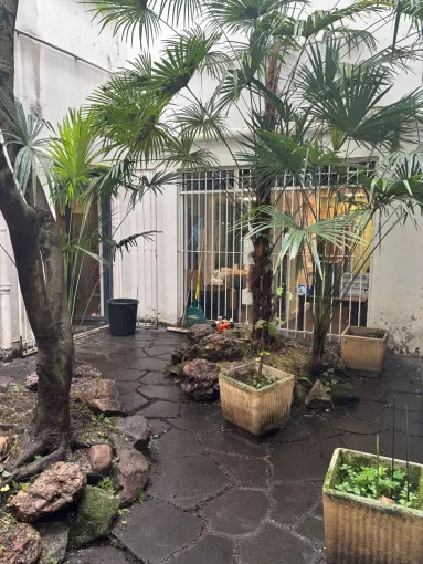 Intervention d'élagage à Bayonne pour un espace lumineux, Biarritz, L'ArtBoriste