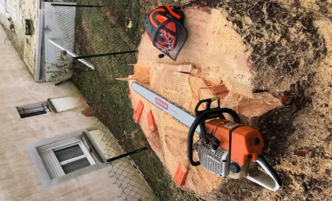 Abattage d'un arbre dangereux dans un jardin à Capbreton, Biarritz, L'ArtBoriste