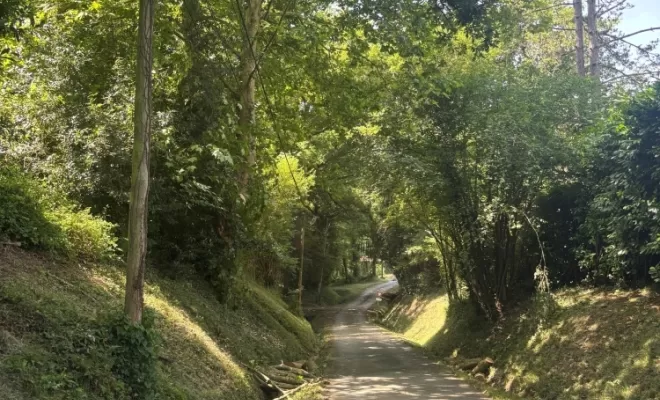 L'ArtBoriste sécurise et embellit votre jardin à Biarritz, Biarritz, L'ArtBoriste