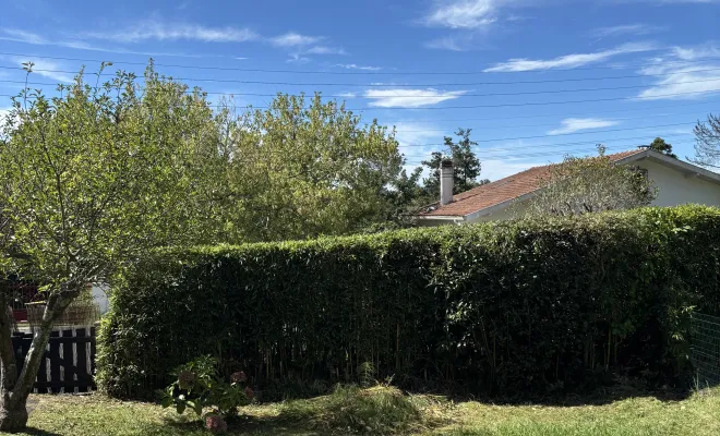 Remise en état d'un jardin à Anglet, Biarritz, L'ArtBoriste